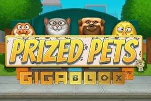 Prized Pets Gigablox - Slot Northern Lights Gaming | RTP N/A | MisterTopCasino