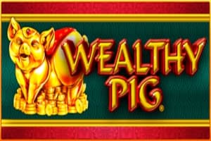 Wealthy Pig - Slot Design Works Gaming | RTP N/A | MisterTopCasino