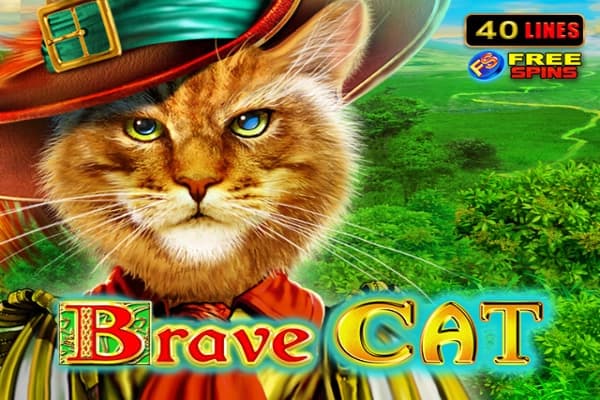 Brave Cat - Slot Amusnet | RTP N/A | MisterTopCasino
