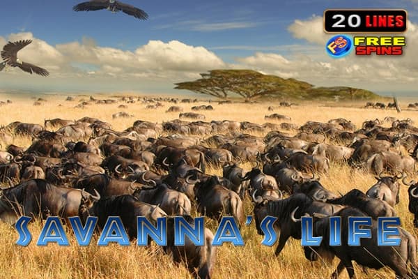 Savannas Life - Slot Amusnet | RTP N/A | MisterTopCasino