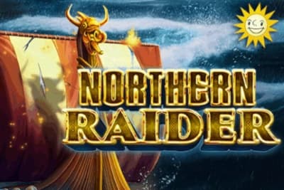 Northern Raider - Slot Merkur | RTP N/A | MisterTopCasino