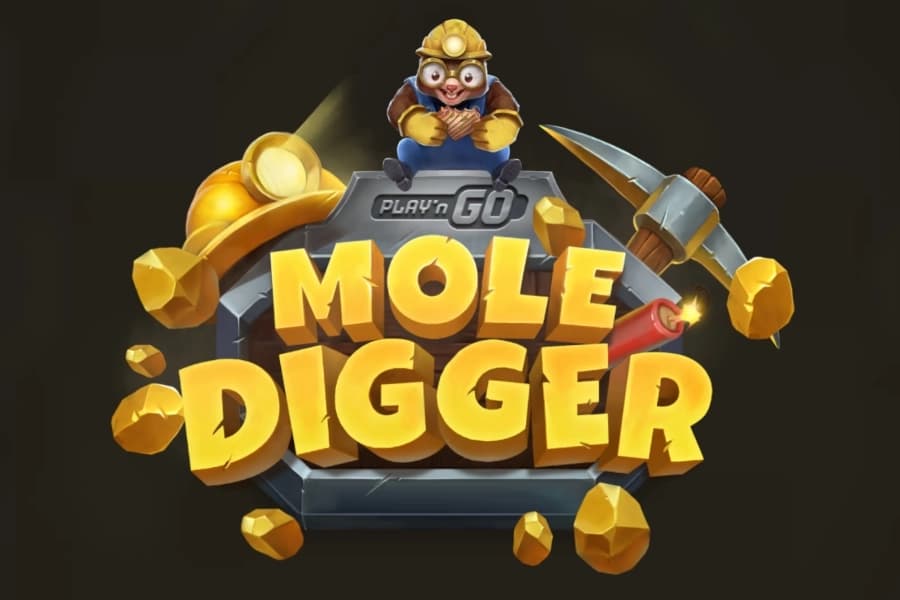 Mole Digger - Slot Play'n GO | RTP N/A | MisterTopCasino