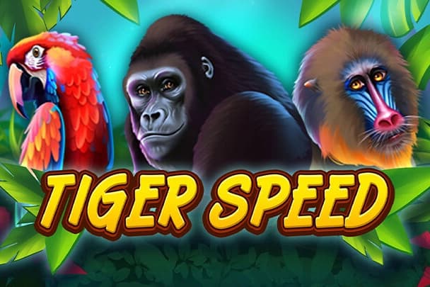 Tiger Speed - Slot Tech4Bet | RTP N/A | MisterTopCasino