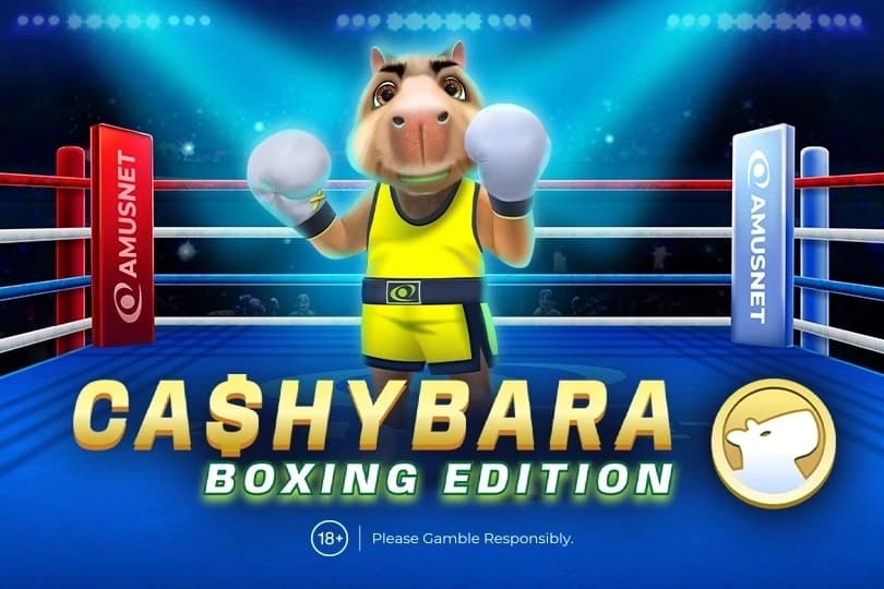 Cashybara Boxing Edition - Slot Amusnet | RTP 97% | MisterTopCasino