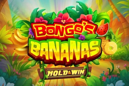 Bongo's Bananas - Slot Rival | RTP N/A | MisterTopCasino