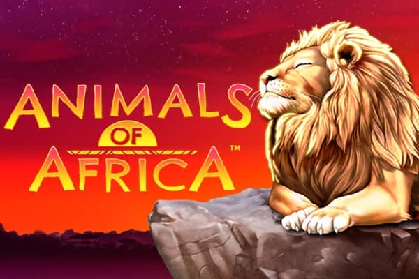 Animals of Africa - Slot Gold Coin Studios | RTP N/A | MisterTopCasino
