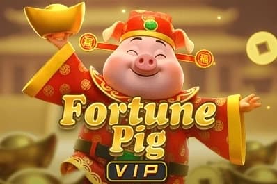 Fortune Pig VIP - Slot KA Gaming | RTP N/A | MisterTopCasino