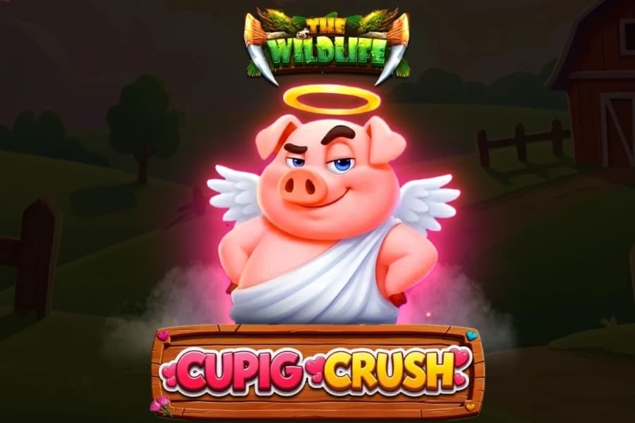 Cupig Crush - Slot Spinomenal | RTP N/A | MisterTopCasino