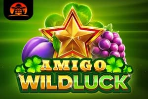Amigo Wild Luck - Slot Amigo Gaming | RTP N/A | MisterTopCasino