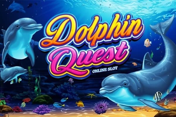 Dolphin Quest - Slot Games Global | RTP N/A | MisterTopCasino