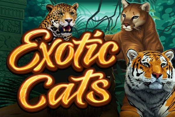 Exotic Cats - Slot Games Global | RTP N/A | MisterTopCasino