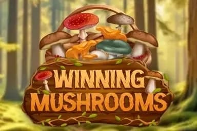 Winning Mushrooms - Slot Adell | RTP N/A | MisterTopCasino
