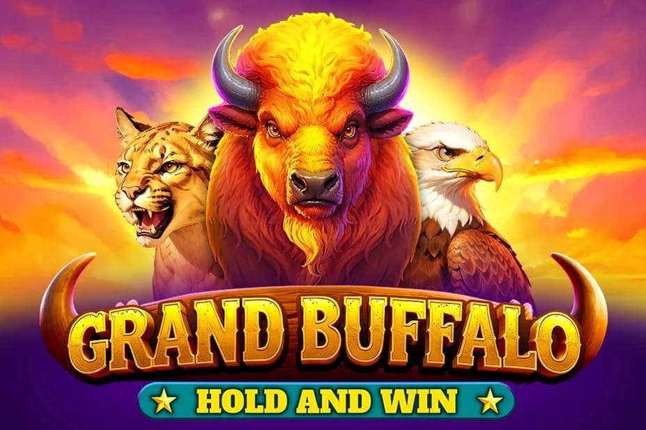 Grand Buffalo Hold & Win - Slot BGaming | RTP N/A | MisterTopCasino