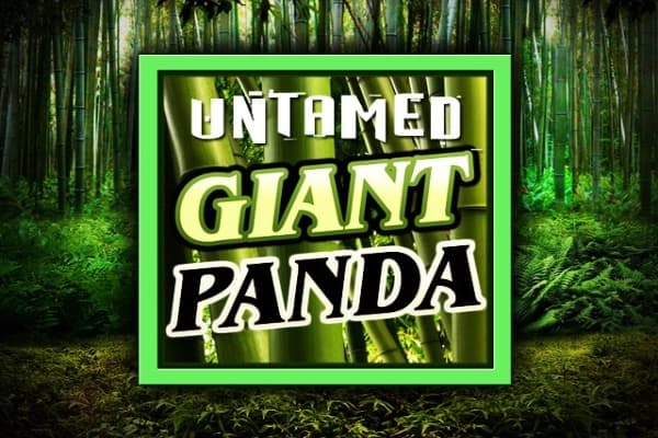 Untamed Giant Panda - Slot Games Global | RTP N/A | MisterTopCasino