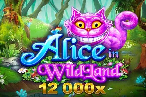 Alice in WildLand - Slot SpinPlay Games | RTP N/A | MisterTopCasino