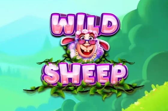 Wild Sheep - Slot Elbet | RTP N/A | MisterTopCasino