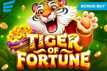 Tiger of Fortune - Slot Evoplay | RTP N/A | MisterTopCasino