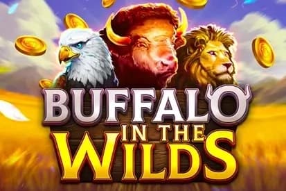 Buffalo in the Wilds - Slot 7777 gaming | RTP N/A | MisterTopCasino