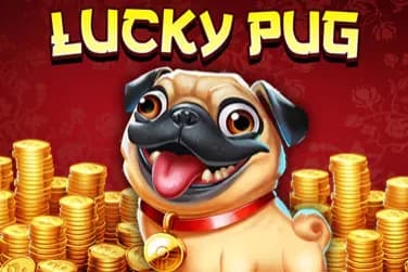 Lucky Pug - Slot High 5 Games | RTP N/A | MisterTopCasino