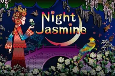 Night Jasmine - Slot High 5 Games | RTP N/A | MisterTopCasino