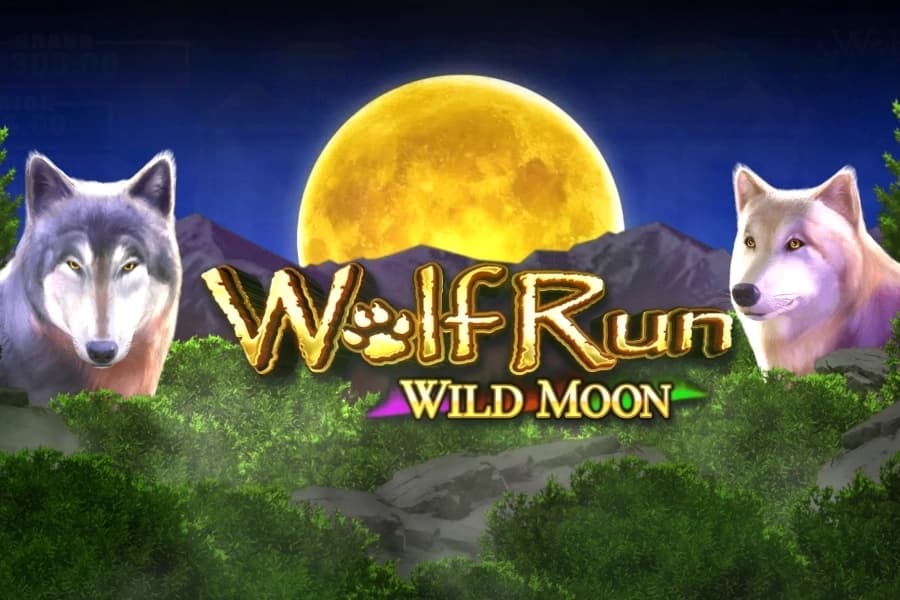 Wolf Run Wild Moon - Slot IGT | RTP N/A | MisterTopCasino