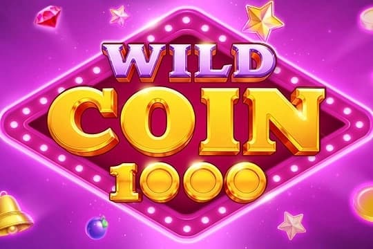 Wild Coin 1000 - Slot NetGame | RTP N/A | MisterTopCasino