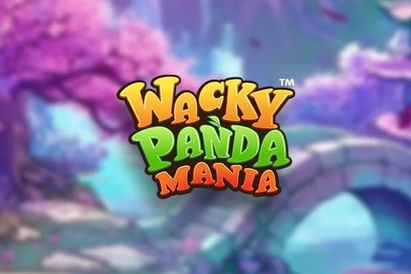 Wacky Panda Mania - Slot Slingshot Studios | RTP N/A | MisterTopCasino