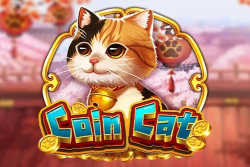 Coin Cat - Slot Dragoon Soft | RTP N/A | MisterTopCasino