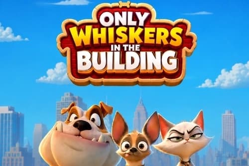 Only Whiskers in the Building - Slot TopSpin | RTP N/A | MisterTopCasino