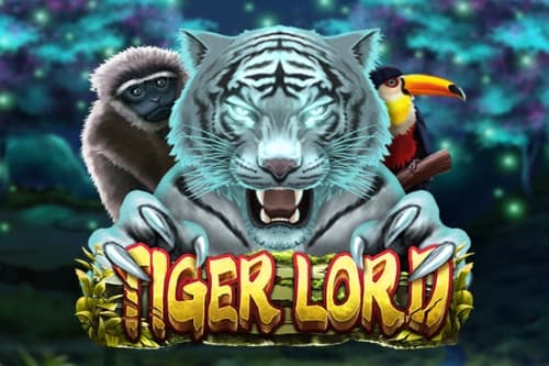 Tiger Lord - Slot Dragoon Soft | RTP N/A | MisterTopCasino