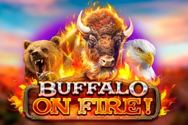 Buffalo on Fire - Slot Red Rake Gaming | RTP N/A | MisterTopCasino