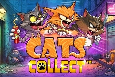 Cats Collect - Slot Playtech | RTP N/A | MisterTopCasino