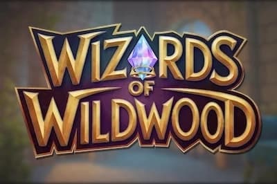 Wizards of Wild Wood - Slot DreamSpin | RTP N/A | MisterTopCasino