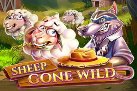 Sheep Gone Wild - Slot Red Tiger Gaming | RTP N/A | MisterTopCasino