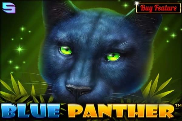 Blue Panther - Slot Spinomenal | RTP N/A | MisterTopCasino