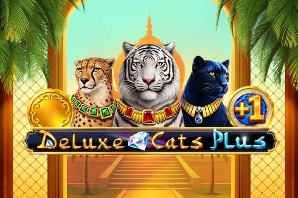 Deluxe Cats Plus - Slot 1spin4win | RTP N/A | MisterTopCasino