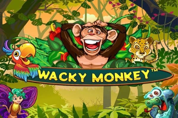 Wacky Monkey - Slot Spinomenal | RTP 95.72% | MisterTopCasino
