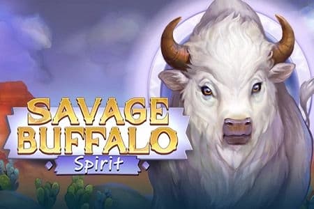 Savage Buffalo Spirit - Slot BGaming | RTP N/A | MisterTopCasino