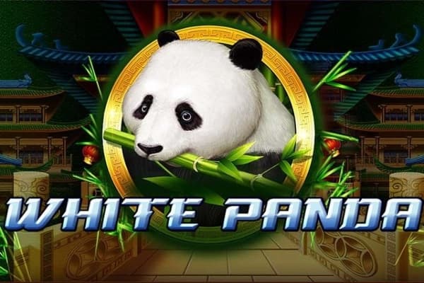 Full Moon: White Panda - Slot Playtech | RTP N/A | MisterTopCasino
