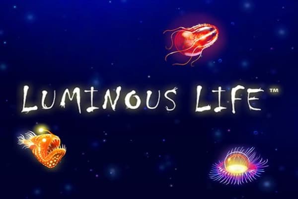 Luminous Life - Slot Playtech | RTP N/A | MisterTopCasino