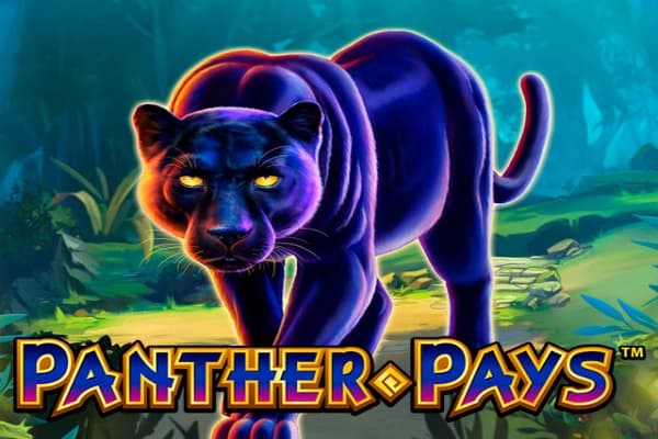 Panther Pays - Slot Playtech | RTP N/A | MisterTopCasino