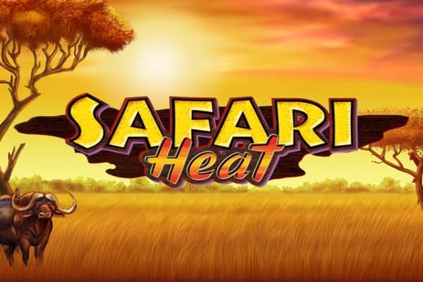 Safari Heat - Slot Playtech | RTP N/A | MisterTopCasino