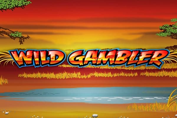 Wild Gambler - Slot Playtech | RTP N/A | MisterTopCasino