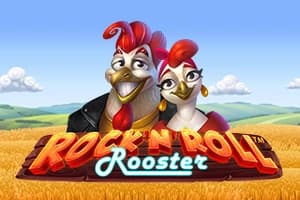Rock 'N' Roll Rooster - Slot SYNOT Games | RTP N/A | MisterTopCasino