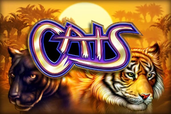 Cats - Slot IGT | RTP N/A | MisterTopCasino