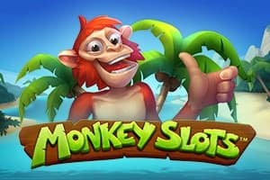 Monkey Slots - Slot SYNOT Games | RTP N/A | MisterTopCasino