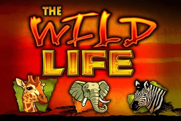 The Wild Life - Slot IGT | RTP N/A | MisterTopCasino