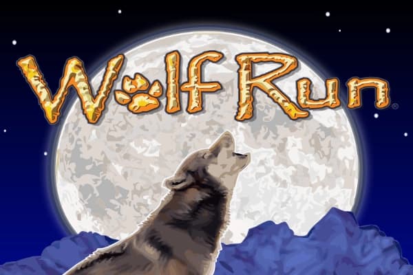 Wolf Run - Slot IGT | RTP N/A | MisterTopCasino