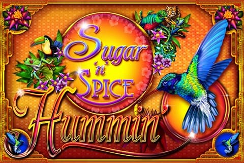 Sugar 'n' Spice Hummin' - Slot Ainsworth | RTP N/A | MisterTopCasino