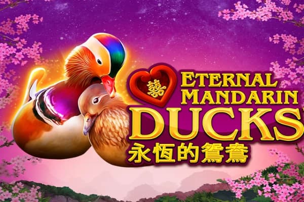 Power Prizes - Eternal Mandarin Ducks - Slot Greentube | RTP N/A | MisterTopCasino